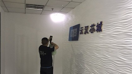 上海市松江区上海云汉芯城室内除甲醛-其他机构室内除甲醛案例