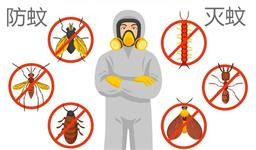 室内虫害防治常识：防蚊灭蚊知识要点